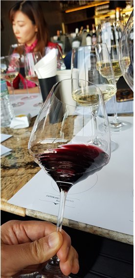 자페라노 에스페리엔제 시리즈.