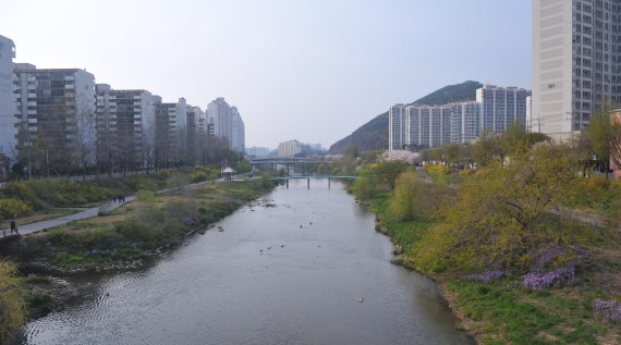 최대호 안양시장 “안양 하천 시민정원으로 진화”