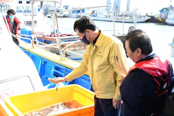 [포토뉴스] 안산시 대부도 점농어 20만 방류