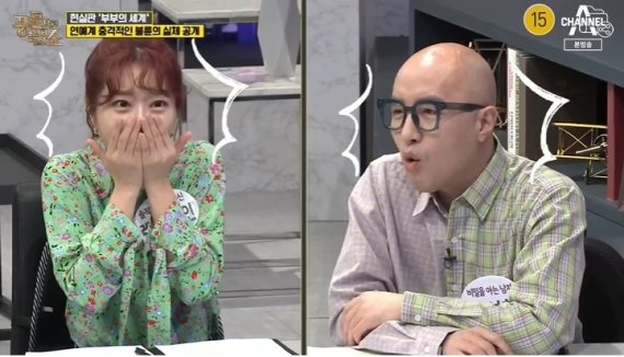 채널A '풍문으로 들었쇼' 방송화면 갈무리 © 뉴스1