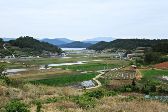 농촌과 어촌 풍경이 어우러진 고금도. 한국관광공사 제공