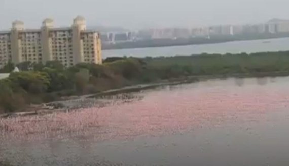 사진=유튜브 Trips N Trippers 캡쳐