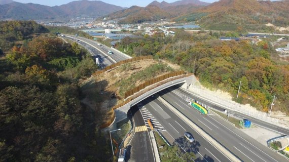 생동물의 이동을 돕는 구조물인 추풍령 생태통로. 한국도로공사 제공