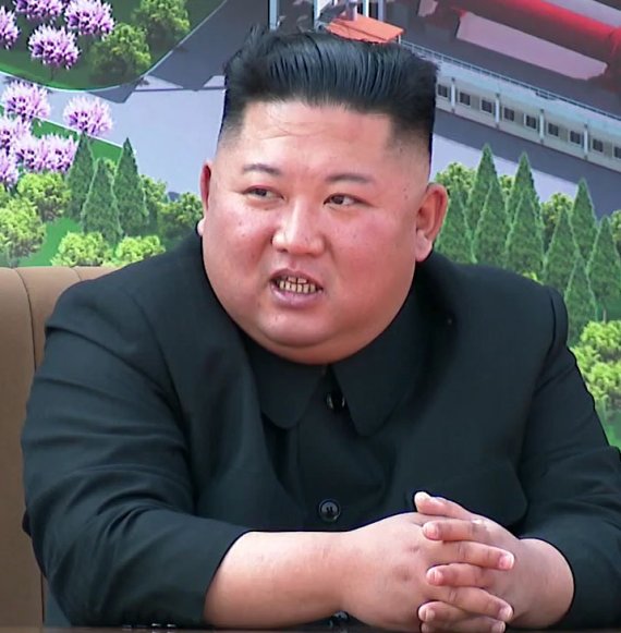 국정원 "김정은 어떠한 수술·시술도 안해"