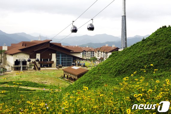 하이원리조트 관광곤돌라 봄 전경. © News1