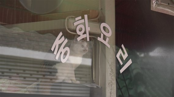 '고양이 집사' 스틸 컷 © 뉴스1