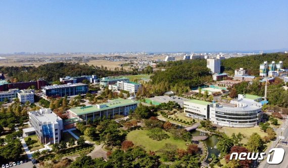 군산대, 교육부 '파란사다리사업' 신규 주관대학 선정 - 파이낸셜뉴스