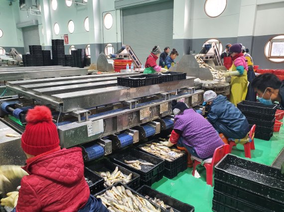 전남도, 해수부 '저온경매장 시설' 공모 선정