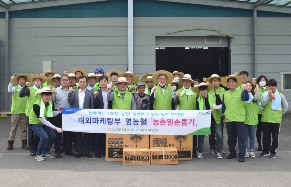 농협경제지주 대외마케팅부 직원들이 지난 22일 자매결연 마을인 춘천 신북농협의 농가를 찾아 일손을 거들었다.