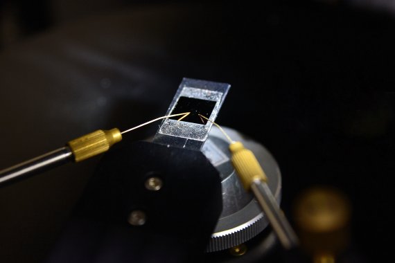 KIST 스핀융합연구단 이기영 박사팀이 개발한 초저전력 차세대 자성메모리 반도체 소자. KIST 제공