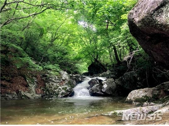 소백산 죽계구곡 (사진=소백산국립공원사무소 제공)