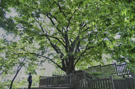 시흥시 군자봉. 사진제공=시흥시