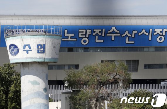 "임시휴업 끝" 노량진수산시장 회식당 영업 재개