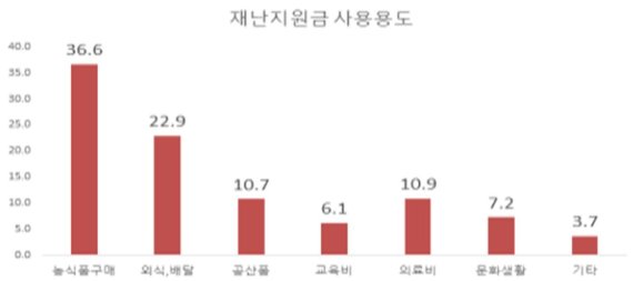 국민 10명 중 6명이 재난지원금으로 구입 1위는