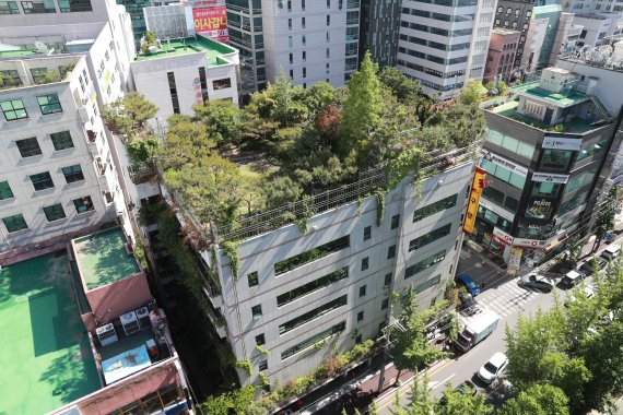 울산시 제2호 민간 정원인 '구암 정원' 울산시 남구 달동 구암문구 옥상에 위치하고 있다.