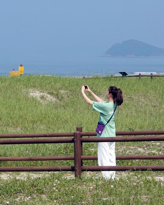 초록빛 가의도에서 자연스러운 거리두기 [Weekend 레저]