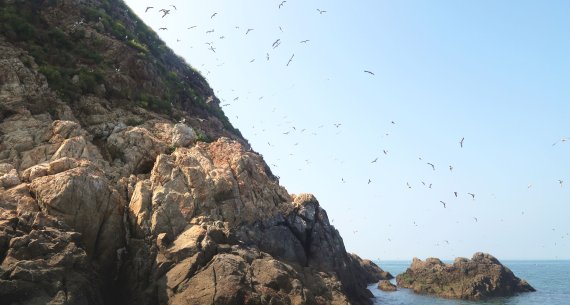 초록빛 가의도에서 자연스러운 거리두기 [Weekend 레저]