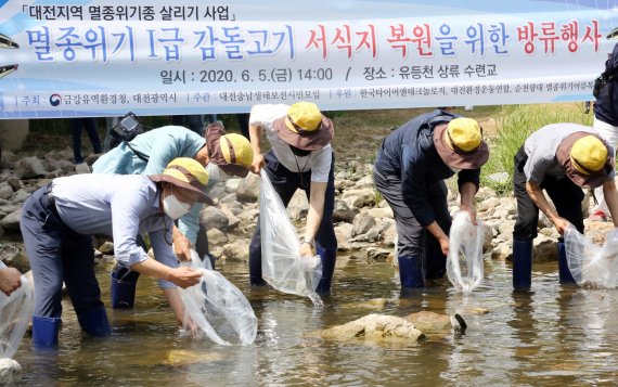 한국타이어, 멸종위기종 1급 '감돌고기' 방류 행사