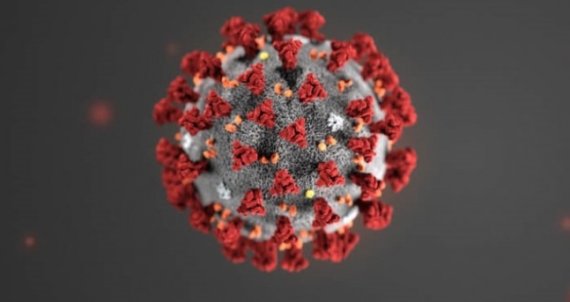 코로나19 바이러스. 미국 질병통제예방센터 제공