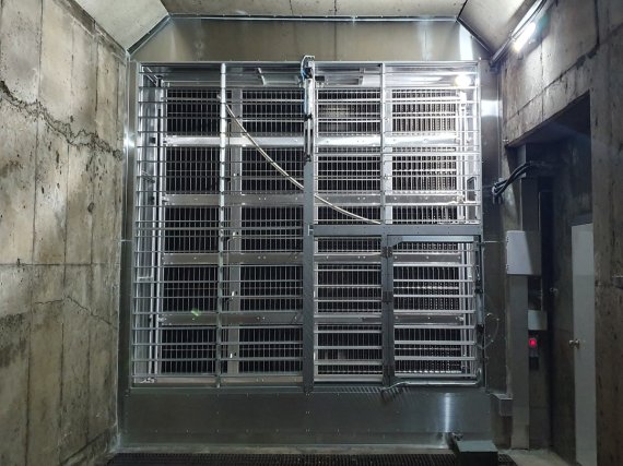 대구도시철도, '경로 우대 칸' 15일부터 운영 종료