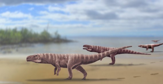 1억년 前 경상도에 살았던 '3m' 동물의 정체