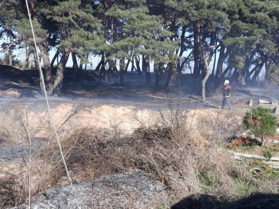 임성훈 주무관이 산불진화 작업을 하고 있다. /사진=임성훈 주무관 제공