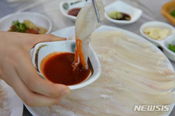 울산 방어진항 참가자미 활어회. 뉴시스