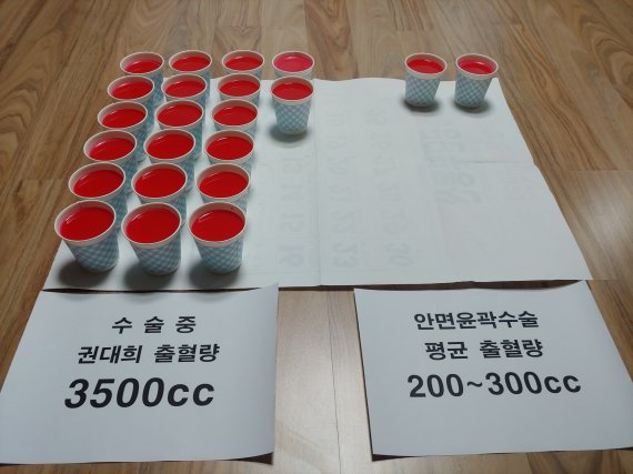 2016년 신사역 인근 한 성형외과에서 안면윤곽수술을 받다 과다출혈로 중태에 빠져 사망한 고 권대희씨가 수술 중 흘린 피와 통상 같은 수술로 흘릴 수 있는 피 양을 권씨 어머니 이나금씨가 비교한 모습. 사진=김성호 기자