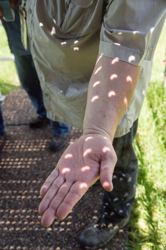 바늘구멍 사진기 원리로 인한 일식 그림자 관측 (미국 항공우주국)2020.06.19 / 뉴스1