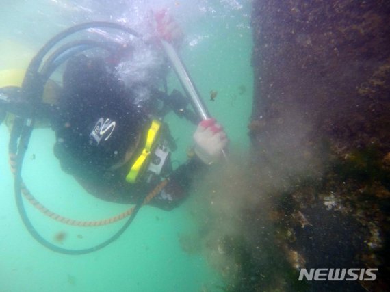 [부산=뉴시스] 부산해경과 한국해양구조협회 부산지부 관계자들이 27일 부산 서구 송도해수욕장에서 다이빙대 위험물질 제거와 수중 시설물 안전 점검, 해변 유리조각 제거 등을 진행하고 있다. (사진=부산해경 제공). 2020.06.27. photo@newsis.com