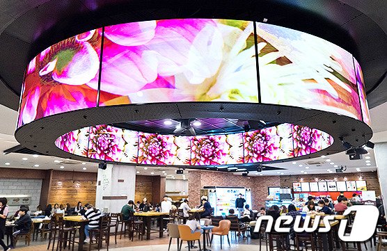 서울 홍익대 VR뮤지엄에 설치된 LG '올레드(OLED) 서클'.(LG전자 제공)© 뉴스1