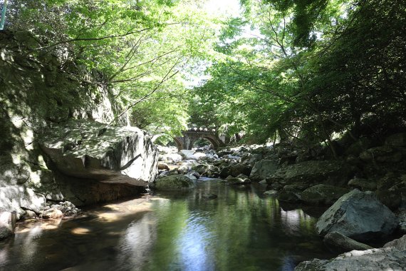 전남도, 7월 추천관광지로 해남 장춘 계곡·곡성 청계동 계곡 선정