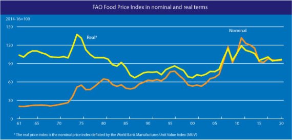 명목 및 실질 식량가격지수/사진=농식품부 제공