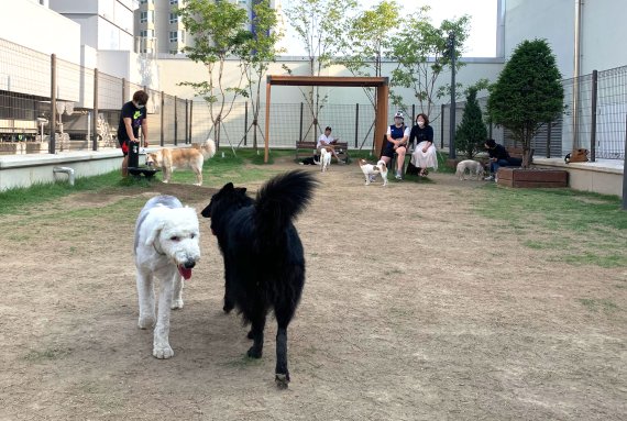 스타필드 시티 위례 10층 펫파크.