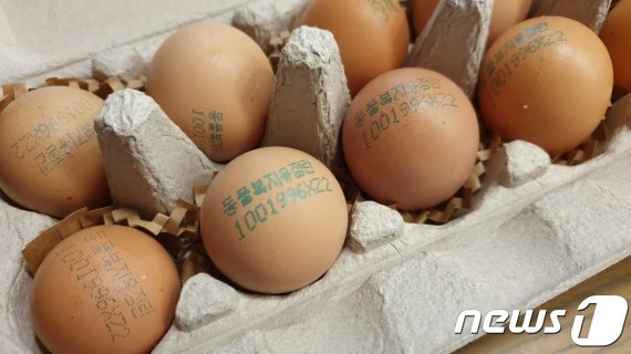 계란 사진 (이 사진은 본 기사내용과 무관함)© 뉴스1 DB