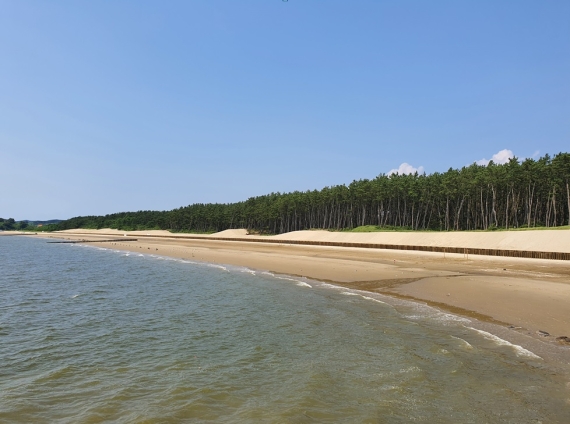 충남 서천 다사2지구 연안정비사업 지구 전경