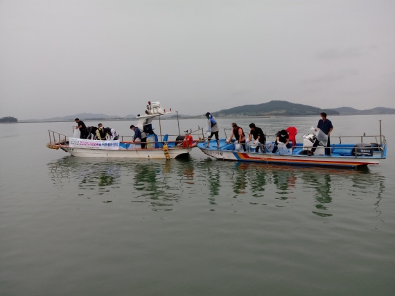 전남해양수산과학원, 고소득 '갑오징어' 자원 조성