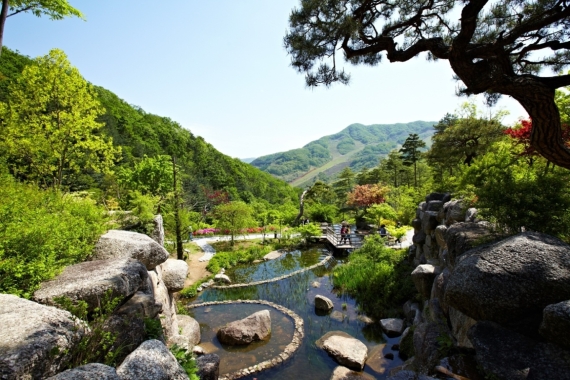 경기도 산림휴양시설 운영재개…실내시설 부분페쇄