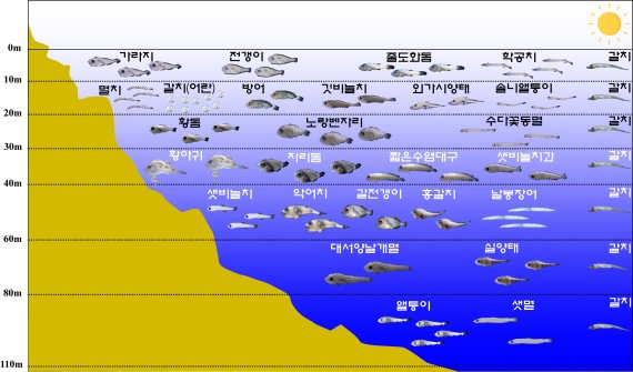 "어린물고기 어종에 따라 분포 수심 다르다"