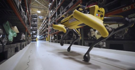 미 공군이 최근 인공지능(AI)으로 움직이는 로봇 군견을 공개했다. 보스턴다이내믹스에서 제작한 로봇개 '플러피(Fluffy)'가 미국 미시간주 스털링하이츠의 포드 공장에서 레이저로 엔지니어를 보조하는 작업을 하고 있다.로이터뉴스1