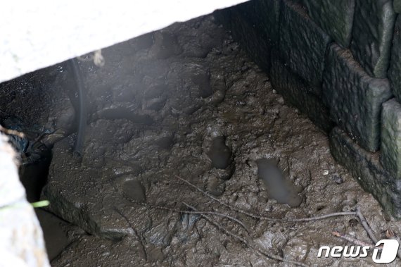 탈북민 김모씨의 가방이 발견된 것으로 추정되는 인천 강화군 월곳리 인근의 한 배수로의 발자국 모습. 2020.7.27/뉴스1 © News1 이동해 기자