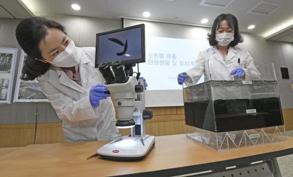 서울시 상수도사업본부 물연구원들이 28일 서울 중구 서울시청 브리핑룸에서 열린 서울시 수돗물 유충관련 기자설명회에서 민원인이 발견한 유충을 현미경으로 확인하고 있다. 서울시는 이날 '수돗물 유충' 민원 원인에 대해 "수돗물 공급계통이 아닌 외부요인에 의한 것"이라고 최종 결론 내렸다. 사진=박범준 기자