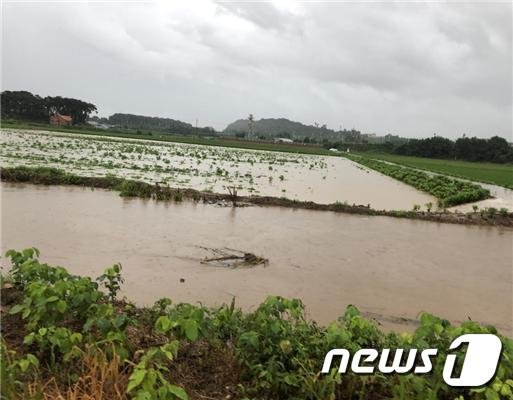 29일 내린 많은 장맛비로 부안군의 한 농경지가 침수됐다. 전북도 제공. 뉴스1