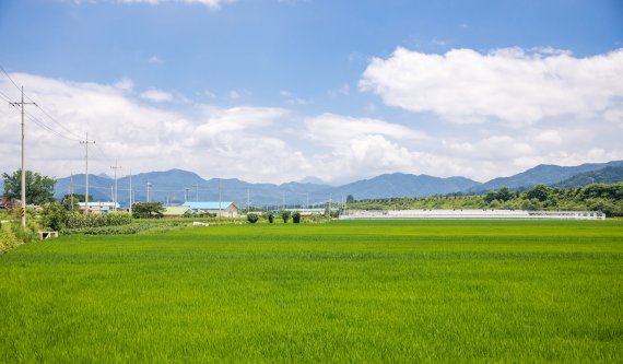 보는 것만으로도 눈이 맑아지는 한 여름의 소경 /사진=한국관광공사