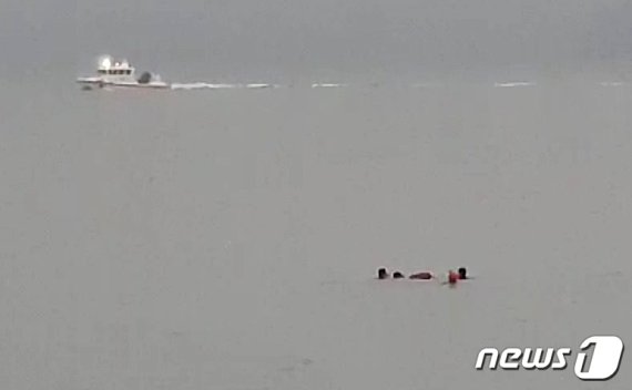 평택해경 구조대원들이 메추리섬 부근 바다에 빠진 30대 남성을 구조하고 있다. (평택해경 제공)© 뉴스1