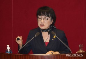"부동산값 올라도 문제없다.. 세금만 열심히 내십시요" 김진애 의원 국회 발언 논란