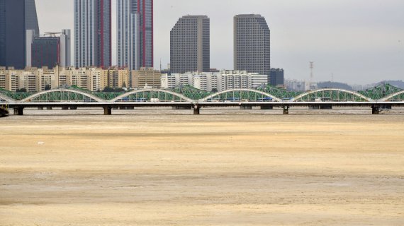 한강 본류에 홍수주의보가 9년 만에 발령된 6일 한강이 흙탕물로 가득차 있다. 사진=서동일 기자