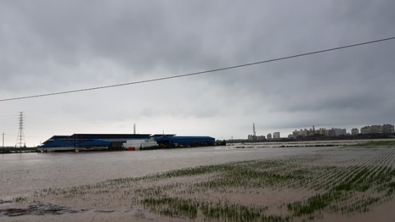 섬진강 제방 붕괴, ‘545㎜ 물폭탄’ …전북 산사태·침수·붕괴 196건