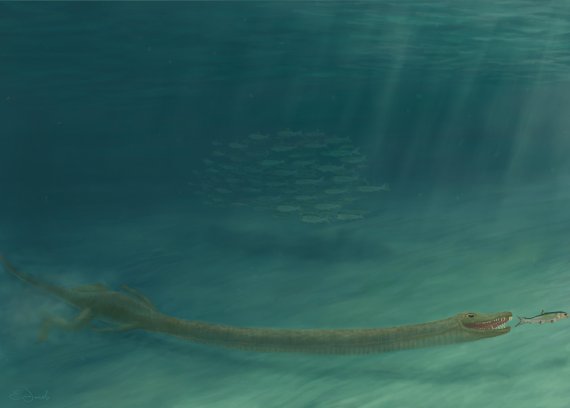 취리히 대학 고생물학자인 스테판 스피크먼은 타니스트로페우스가 작은 머리와 매우 긴 목을 사용해 어두운 물에서 먹이에게 몰래 접근해 사냥을 했을 것이라고 설명했다. 엠마 핀리 제이콥 제공