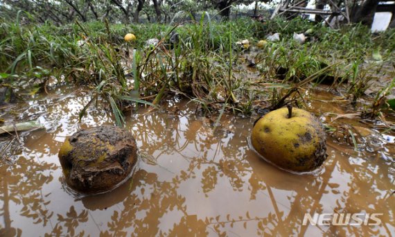 열흘째 폭우에 이재민 7천명 육박…시설 피해 2만건 넘어(종합2보)